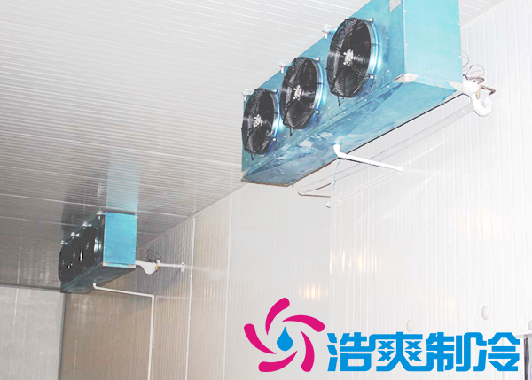 建造安裝5000㎡雞排低溫冷藏庫造價費用是多少？