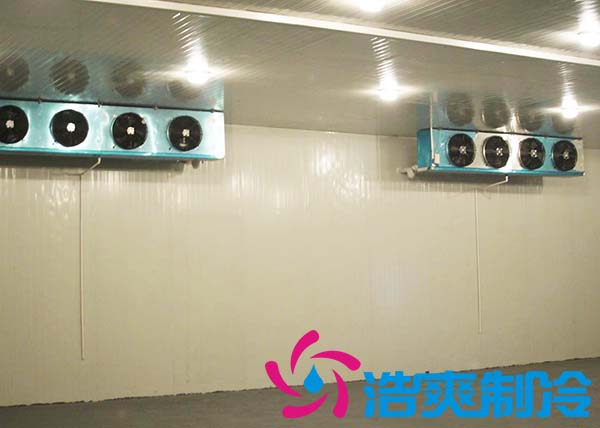 建造一間海參低溫冷凍庫大約需要多少費(fèi)用？