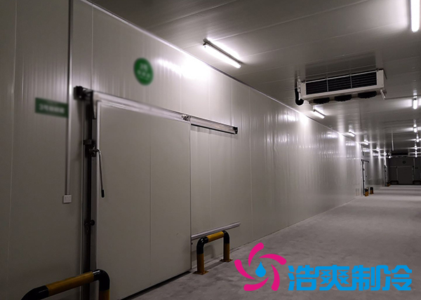 建造一個10000平方米生鮮冷庫冷鏈倉儲配送需要投資多少費用？