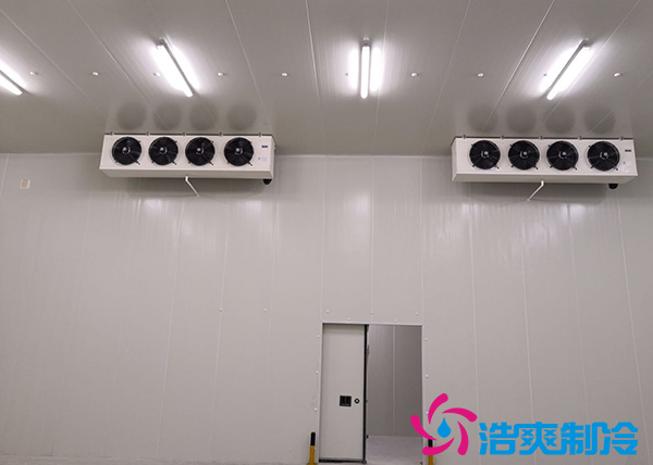 建造一個10000平方米生鮮冷庫冷鏈倉儲配送需要投資多少費用？