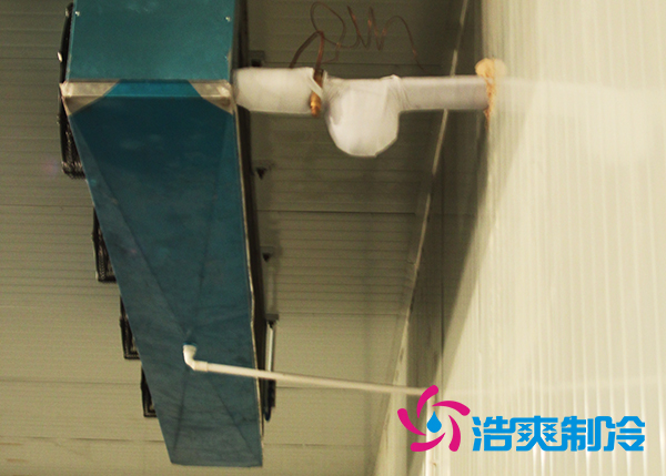 建造大型農(nóng)產(chǎn)品基地冷庫造價需要投資多少費(fèi)用？