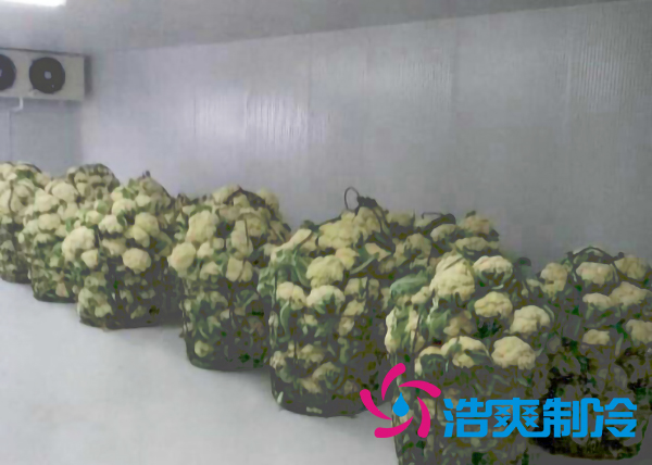 上海建造2000立方米鮮花氣調(diào)保鮮冷庫造價(jià)多少錢？