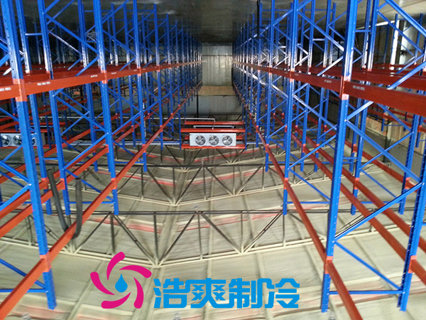 浙江建造3000m3牛肉低溫冷藏冷凍庫安裝造價是多少？_浩爽制冷