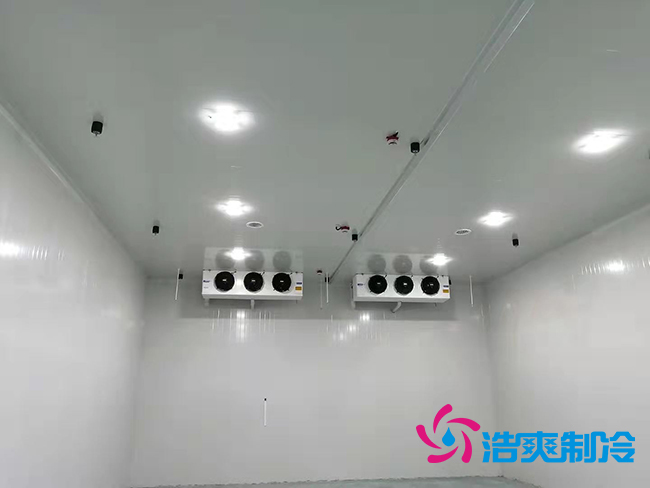 超低溫凍庫(kù)建設(shè)價(jià)格與哪些因素有關(guān)？_浩爽制冷