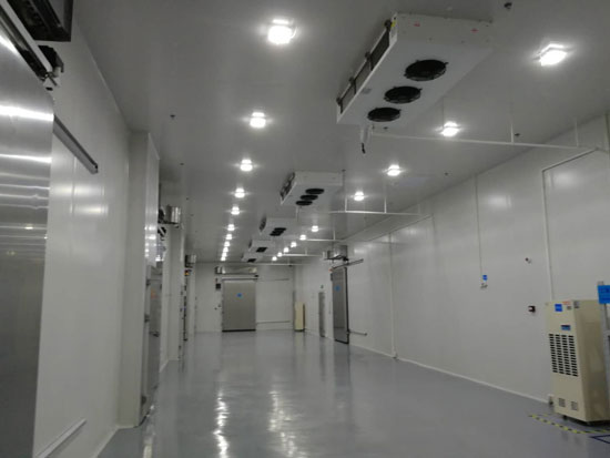 100平方米冷庫建造成本多少錢？