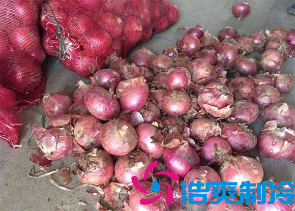 建一個洋蔥保鮮庫要多少錢呢？_浩爽制冷