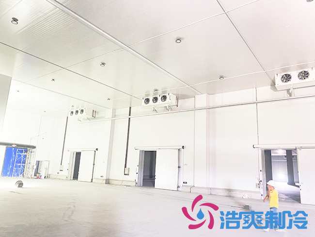 海南建造一個冷庫需要多少錢？_浩爽制冷