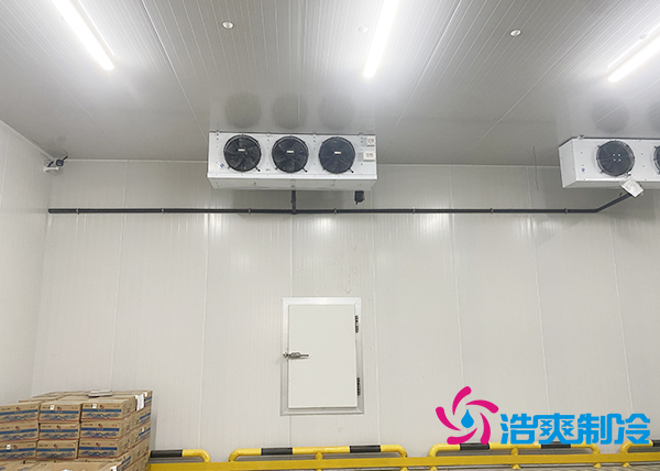 建一個(gè)水果催熟庫(kù)安裝價(jià)格大概多少錢？-浩爽制冷