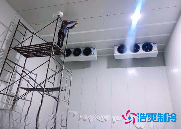 建造一個(gè)果蔬種植園氣調(diào)冷庫(kù)安裝造價(jià)大概投資多少錢？-浩爽制冷