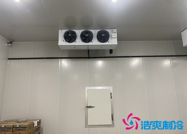生鮮蔬菜市場(chǎng)冷庫應(yīng)該建多大？-浩爽制冷