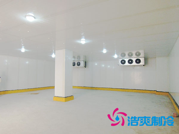 50噸果蔬氣調(diào)庫預(yù)算造價(jià)多少錢？-浩爽制冷