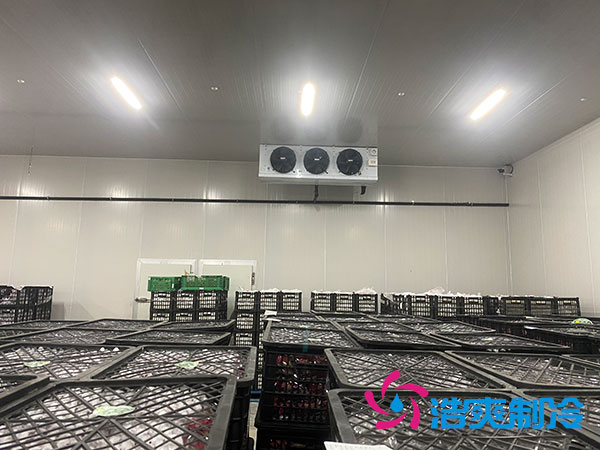 嘉定雞蛋冷庫安裝建造多少錢？-浩爽制冷