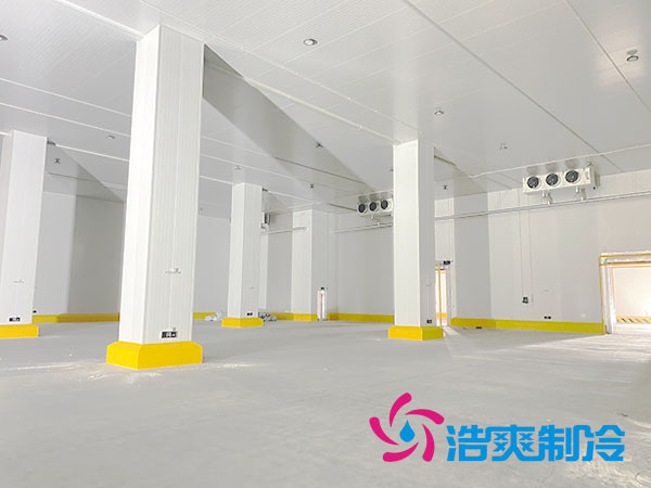 湖南蔬菜物流冷庫造價安裝費用多少錢？-浩爽制冷