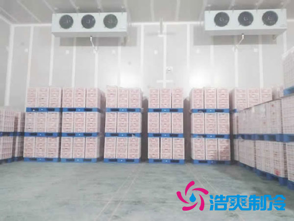 冷鮮庫(kù)建造成本一平方？-浩爽制冷
