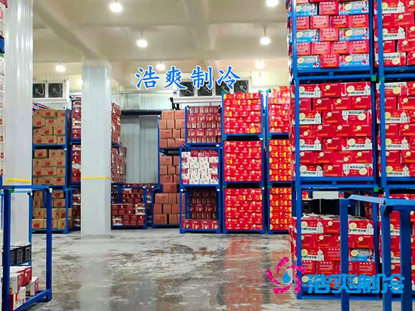 保鮮冷庫造價概覽，果蔬保鮮庫費用解析