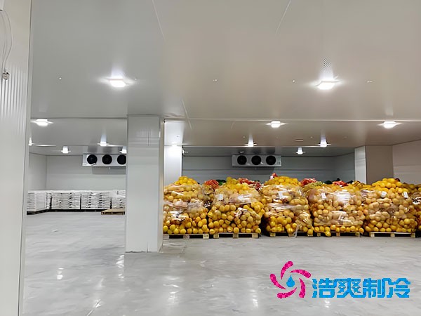 建設(shè)大型蔬菜保鮮庫的造價及安裝費(fèi)用解析-浩爽制冷