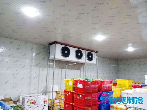 果品冷庫(kù)設(shè)計(jì)與安裝造價(jià)如何計(jì)算？-浩爽制冷
