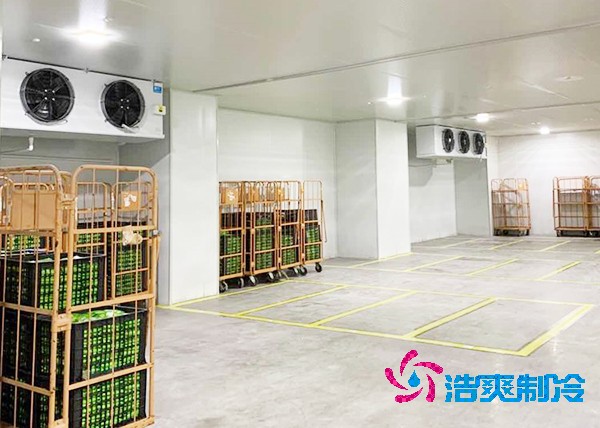 玉米冷庫造價
