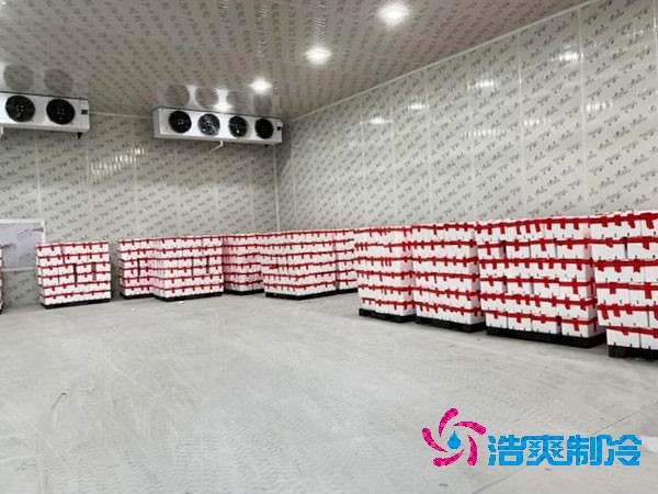檳榔保鮮冷庫安裝造價費用多少錢？-浩爽制冷