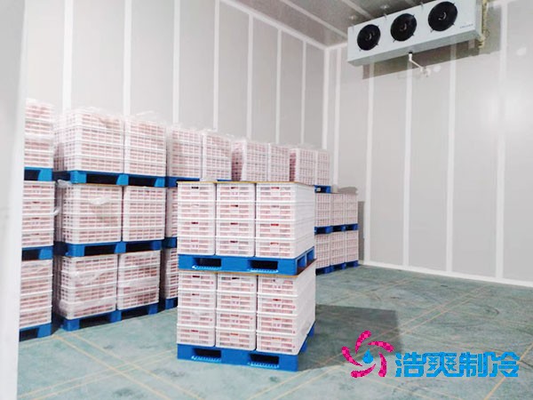 水果冷藏庫造價預(yù)算及特點分析