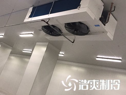 河北周黑鴨新工廠項(xiàng)目1#車(chē)間冷庫(kù)建造